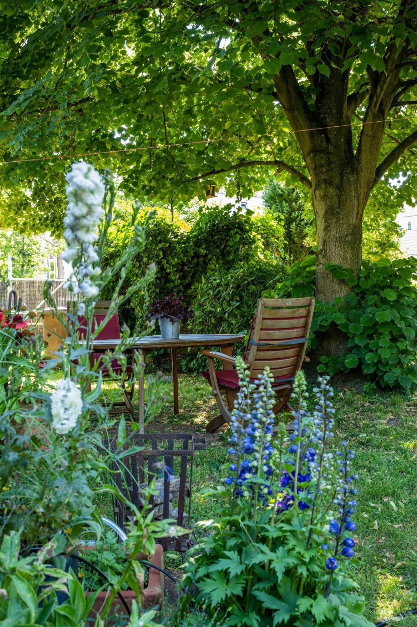 Apartment Benz Iii Bergisch Gladbach